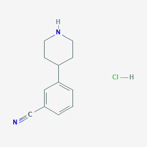 molecular formula C12H15ClN2 B8072408 3-(Piperidin-4-YL)benzonitrile hydrochloride 