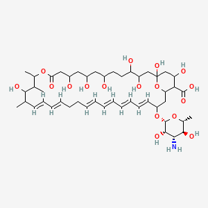 molecular formula C47H75NO17 B8073770 (19Z,21Z,25Z,27Z,29Z,31Z)-33-[(2R,3S,4S,5S,6R)-4-amino-3,5-dihydroxy-6-methyloxan-2-yl]oxy-1,3,4,7,9,11,17,37-octahydroxy-15,16,18-trimethyl-13-oxo-14,39-dioxabicyclo[33.3.1]nonatriaconta-19,21,25,27,29,31-hexaene-36-carboxylic acid 