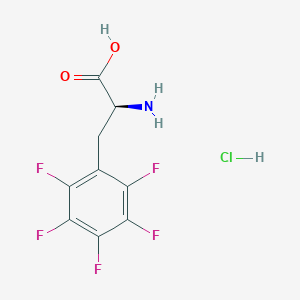 molecular formula C9H7ClF5NO2 B8073929 L-Phenylalanine, 2,3,4,5,6-pentafluoro-, hydrochloride (9CI) 