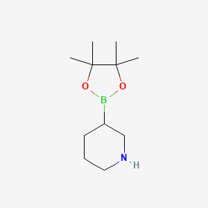molecular formula C11H22BNO2 B8074499 哌啶-3-硼酸频哪醇酯 