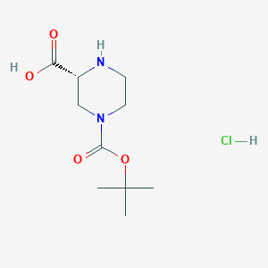 molecular formula C10H19ClN2O4 B8074693 (2R)-4-[(tert-butoxy)carbonyl]piperazine-2-carboxylic acid hydrochloride 