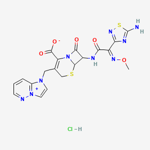 molecular formula C19H18ClN9O5S2 B8074778 7-[[(2E)-2-(5-amino-1,2,4-thiadiazol-3-yl)-2-methoxyiminoacetyl]amino]-3-(imidazo[1,2-b]pyridazin-4-ium-1-ylmethyl)-8-oxo-5-thia-1-azabicyclo[4.2.0]oct-2-ene-2-carboxylate;hydrochloride 