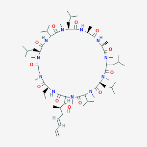 molecular formula C63H111N11O12 B8075247 (6S,12R,15S,18S,24S,30S,33S)-30-ethyl-33-[(1R,2R,4E)-1-hydroxy-2-methylhepta-4,6-dienyl]-1,4,7,10,12,15,19,25,28-nonamethyl-6,9,18,24-tetrakis(2-methylpropyl)-3,21-di(propan-2-yl)-1,4,7,10,13,16,19,22,25,28,31-undecazacyclotritriacontane-2,5,8,11,14,17,20,23,26,29,32-undecone 