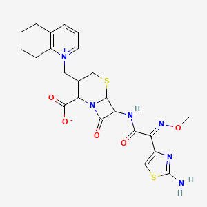 molecular formula C23H24N6O5S2 B8075573 7-[[(2E)-2-(2-amino-1,3-thiazol-4-yl)-2-methoxyiminoacetyl]amino]-8-oxo-3-(5,6,7,8-tetrahydroquinolin-1-ium-1-ylmethyl)-5-thia-1-azabicyclo[4.2.0]oct-2-ene-2-carboxylate 