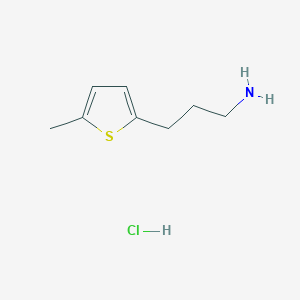 molecular formula C8H14ClNS B8076456 3-(5-Methylthiophen-2-yl)propan-1-amine HCl 