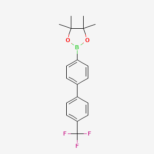 molecular formula C19H20BF3O2 B8076790 4'-(Trifluoromethyl)-4-biphenylboronic acid pinacol ester 