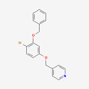 molecular formula C19H16BrNO2 B8076934 4-((3-(Benzyloxy)-4-bromophenoxy)methyl)pyridine 