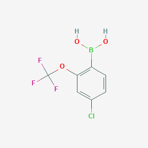 molecular formula C7H5BClF3O3 B8077019 (4-Chloro-2-(trifluoromethoxy)phenyl)boronic acid 