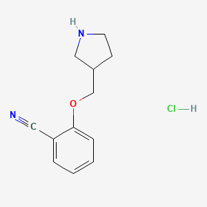 molecular formula C12H15ClN2O B8077023 2-(Pyrrolidin-3-ylmethoxy)benzonitrile hydrochloride 