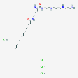molecular formula C32H72Cl4N6O2 B8081543 AMXT-1501 tetrahydrochloride 