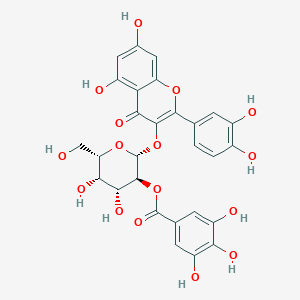 molecular formula C28H24O16 B8083087 4H-1-Benzopyran-4-one,2-(3,4-dihydroxyphenyl)-5,7-dihydroxy-3-[[2-O-(3,4,5-trihydroxybenzoyl)-b-D-galactopyranosyl]oxy]- 