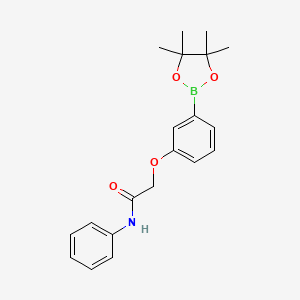 molecular formula C20H24BNO4 B8083146 N-Phenyl-2-(3-(4,4,5,5-tetramethyl-1,3,2-dioxaborolan-2-yl)phenoxy)acetamide 
