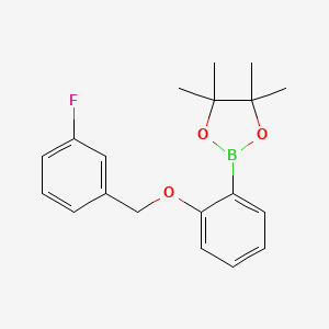 molecular formula C19H22BFO3 B8083157 1,3,2-Dioxaborolane, 2-[2-[(3-fluorophenyl)methoxy]phenyl]-4,4,5,5-tetramethyl- 
