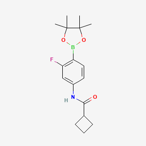 molecular formula C17H23BFNO3 B8083576 N-[3-fluoro-4-(tetramethyl-1,3,2-dioxaborolan-2-yl)phenyl]cyclobutanecarboxamide 