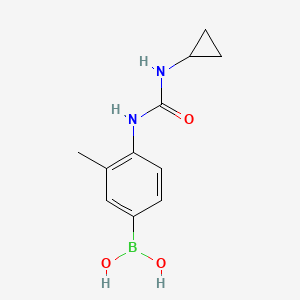 molecular formula C11H15BN2O3 B8083637 {4-[(Cyclopropylcarbamoyl)amino]-3-methylphenyl}boronic acid 