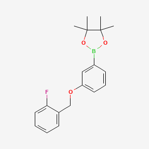 molecular formula C19H22BFO3 B8083689 1,3,2-Dioxaborolane, 2-[3-[(2-fluorophenyl)methoxy]phenyl]-4,4,5,5-tetramethyl- 