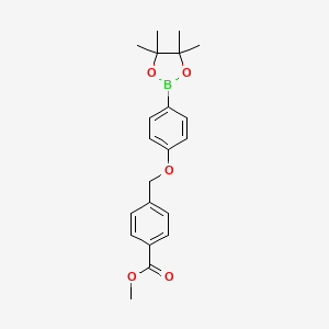 molecular formula C21H25BO5 B8083737 Methyl 4-((4-(4,4,5,5-tetramethyl-1,3,2-dioxaborolan-2-yl)phenoxy)methyl)benzoate 