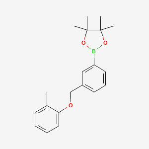 molecular formula C20H25BO3 B8083762 4,4,5,5-Tetramethyl-2-(3-((o-tolyloxy)methyl)phenyl)-1,3,2-dioxaborolane 