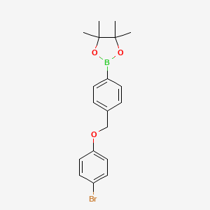 molecular formula C19H22BBrO3 B8083768 1,3,2-Dioxaborolane, 2-[4-[(4-bromophenoxy)methyl]phenyl]-4,4,5,5-tetramethyl- 