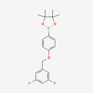 molecular formula C19H21BF2O3 B8083770 2-(4-((3,5-Difluorobenzyl)oxy)phenyl)-4,4,5,5-tetramethyl-1,3,2-dioxaborolane 