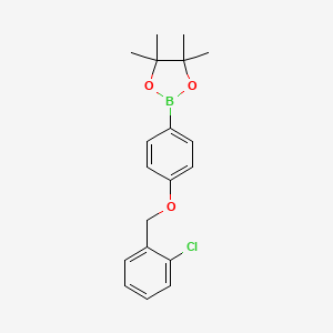 1,3,2-Dioxaborolane, 2-[4-[(2-chlorophenyl)methoxy]phenyl]-4,4,5,5-tetramethyl-