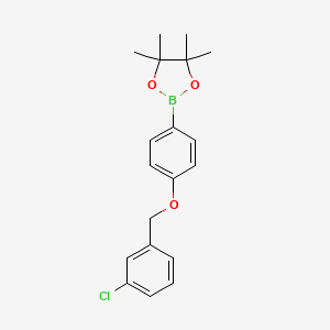 molecular formula C19H22BClO3 B8083793 1,3,2-Dioxaborolane, 2-[4-[(3-chlorophenyl)methoxy]phenyl]-4,4,5,5-tetramethyl- 