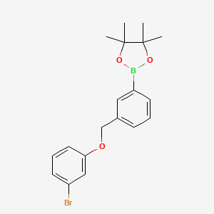 molecular formula C19H22BBrO3 B8083801 2-(3-((3-Bromophenoxy)methyl)phenyl)-4,4,5,5-tetramethyl-1,3,2-dioxaborolane 
