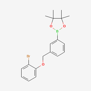 molecular formula C19H22BBrO3 B8083817 2-(3-((2-Bromophenoxy)methyl)phenyl)-4,4,5,5-tetramethyl-1,3,2-dioxaborolane 
