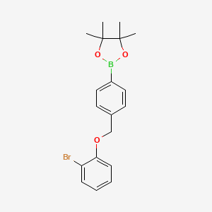 molecular formula C19H22BBrO3 B8083822 2-(4-((2-Bromophenoxy)methyl)phenyl)-4,4,5,5-tetramethyl-1,3,2-dioxaborolane 