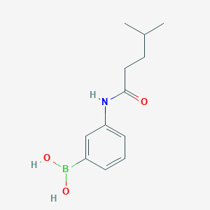 molecular formula C12H18BNO3 B8083829 3-(4-Methylpentanamido)phenylboronic acid 