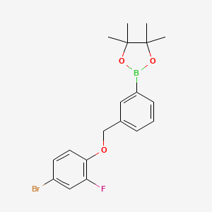 molecular formula C19H21BBrFO3 B8083857 2-(3-((4-Bromo-2-fluorophenoxy)methyl)phenyl)-4,4,5,5-tetramethyl-1,3,2-dioxaborolane 