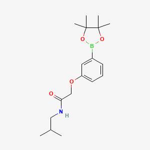 molecular formula C18H28BNO4 B8083863 N-isobutyl-2-(3-(4,4,5,5-tetramethyl-1,3,2-dioxaborolan-2-yl)phenoxy)acetamide 