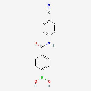 molecular formula C14H11BN2O3 B8083888 (4-((4-Cyanophenyl)carbamoyl)phenyl)boronic acid 