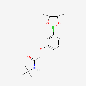 molecular formula C18H28BNO4 B8083920 Acetamide, N-(1,1-dimethylethyl)-2-[3-(4,4,5,5-tetramethyl-1,3,2-dioxaborolan-2-yl)phenoxy]- 