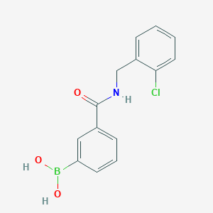 molecular formula C14H13BClNO3 B8083947 Boronic acid, B-[3-[[[(2-chlorophenyl)methyl]amino]carbonyl]phenyl]- 