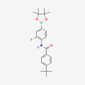 molecular formula C23H29BFNO3 B8083953 4-tert-butyl-N-(2-fluoro-4-(4,4,5,5-tetramethyl-1,3,2-dioxaborolan-2-yl)phenyl)benzamide 