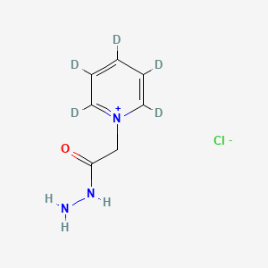 molecular formula C7H10ClN3O B8084118 Girard'sReagentP-d5 