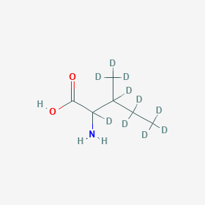 molecular formula C6H13NO2 B8084155 DL-Isoleucine-d10 