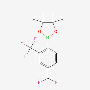 molecular formula C14H16BF5O2 B8084376 2-[4-(Difluoromethyl)-2-(trifluoromethyl)phenyl]-4,4,5,5-tetramethyl-1,3,2-dioxaborolane 