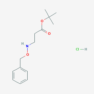 molecular formula C14H22ClNO3 B8084563 Tert-butyl 3-(phenylmethoxyamino)propanoate;hydrochloride 