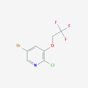 molecular formula C7H4BrClF3NO B8084856 5-Bromo-2-chloro-3-(2,2,2-trifluoroethoxy)pyridine 
