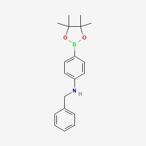 molecular formula C19H24BNO2 B8085474 N-benzyl-4-(4,4,5,5-tetramethyl-1,3,2-dioxaborolan-2-yl)aniline 