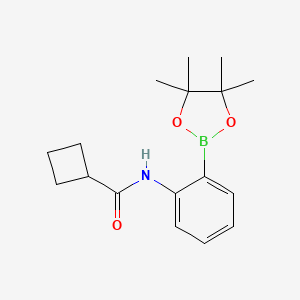 molecular formula C17H24BNO3 B8085509 N-[2-(tetramethyl-1,3,2-dioxaborolan-2-yl)phenyl]cyclobutanecarboxamide 