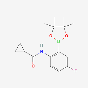 molecular formula C16H21BFNO3 B8085519 N-[4-fluoro-2-(tetramethyl-1,3,2-dioxaborolan-2-yl)phenyl]cyclopropanecarboxamide 