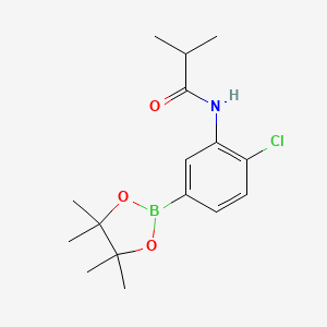 molecular formula C16H23BClNO3 B8085528 N-[2-chloro-5-(tetramethyl-1,3,2-dioxaborolan-2-yl)phenyl]-2-methylpropanamide 