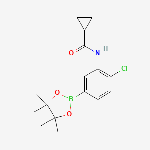 molecular formula C16H21BClNO3 B8085529 N-[2-chloro-5-(tetramethyl-1,3,2-dioxaborolan-2-yl)phenyl]cyclopropanecarboxamide 