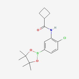 molecular formula C17H23BClNO3 B8085541 N-[2-chloro-5-(tetramethyl-1,3,2-dioxaborolan-2-yl)phenyl]cyclobutanecarboxamide 