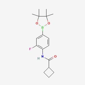 molecular formula C17H23BFNO3 B8085545 N-[2-fluoro-4-(tetramethyl-1,3,2-dioxaborolan-2-yl)phenyl]cyclobutanecarboxamide 