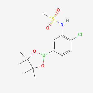 molecular formula C13H19BClNO4S B8085575 N-[2-chloro-5-(tetramethyl-1,3,2-dioxaborolan-2-yl)phenyl]methanesulfonamide 
