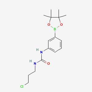 molecular formula C16H24BClN2O3 B8085603 1-(3-Chloropropyl)-3-(3-(4,4,5,5-tetramethyl-1,3,2-dioxaborolan-2-yl)phenyl)urea 